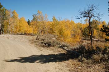 atlantic gulch04