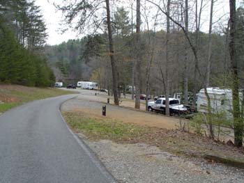 banditroost4