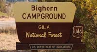 bighorn nm01