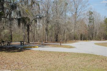 bluffcreek06