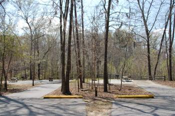 bluffcreek08