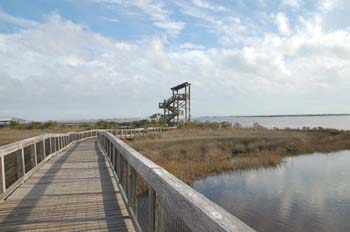 big lagoon28