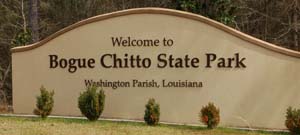 bogue chitto01