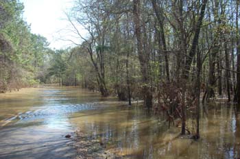bogue chitto11