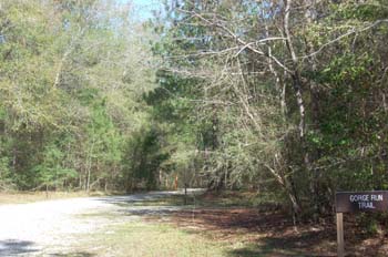 bogue chitto12