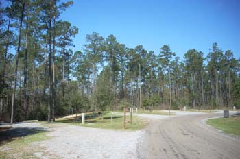 bogue chitto19