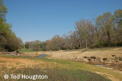 cherokee county12