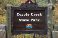 coyote creek01