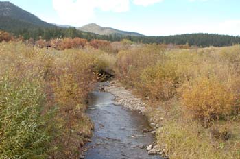 coyote creek20