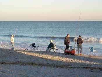 edisto13