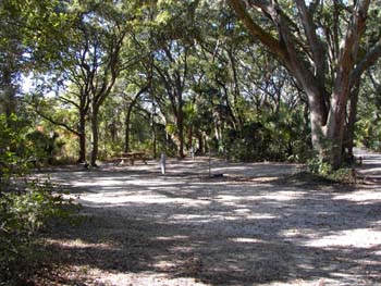 edisto16