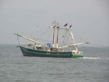 edisto22