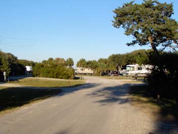 edisto7
