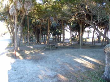 edisto9