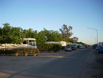 elcentro10
