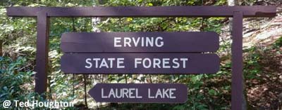 erving sf 01