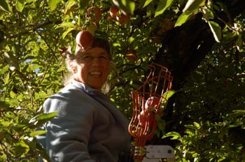fruita17