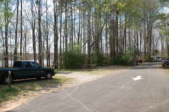 gincreek04