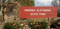 gordonia01