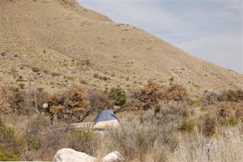 guadalupe04