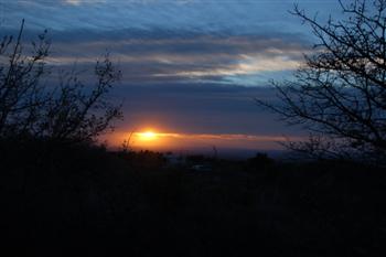 guadalupe13