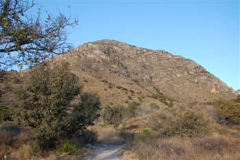 guadalupe16