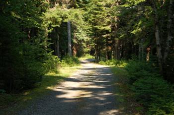 herring cove12