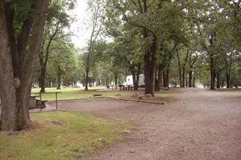 hawthorn bluff13