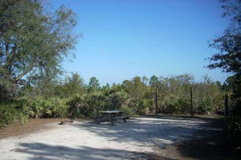 lake manatee11