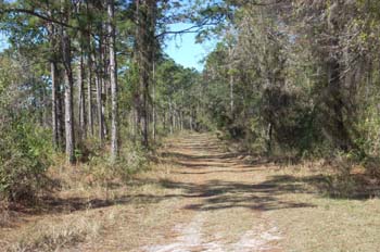 lake manatee16