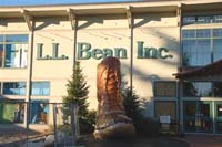 llbean1