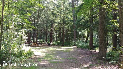 lake dennison11