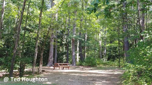 lake dennison17