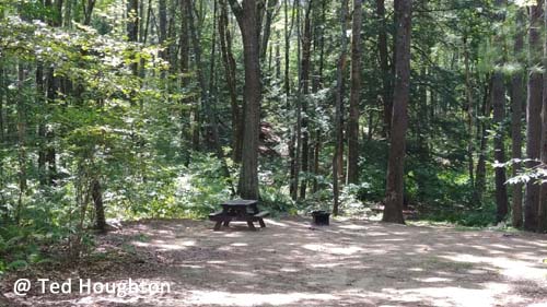 lake dennison19