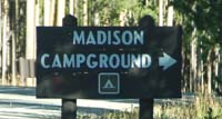 madison ynp01