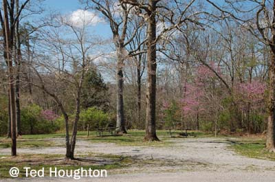 meadow park16