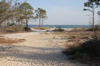 oakgrove10