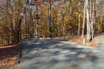 occonee08