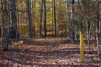 occonee11