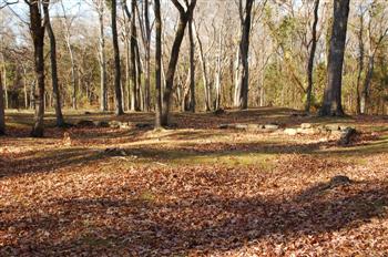 occonee13