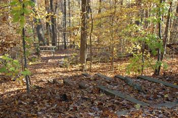 occonee16