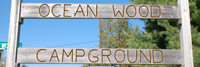 oceanwood1