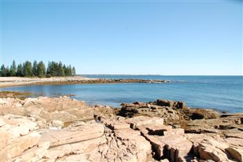 oceanwood5