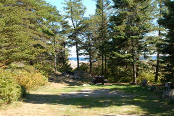 oceanwood9