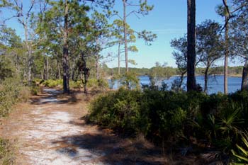 ochlock9