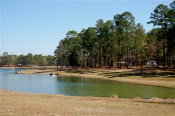 openpond13