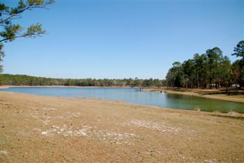 openpond14