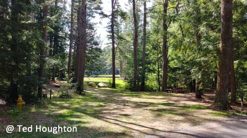 otter river15