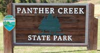 panther1