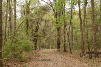 rood creek08